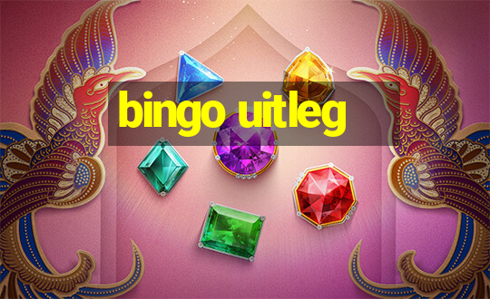 bingo uitleg