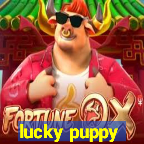 lucky puppy