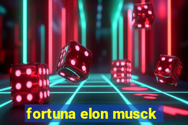 fortuna elon musck