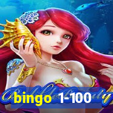 bingo 1-100