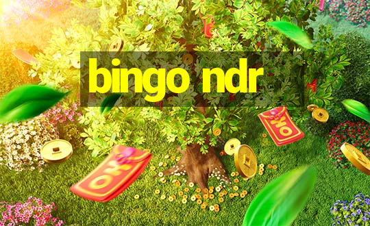 bingo ndr