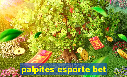 palpites esporte bet