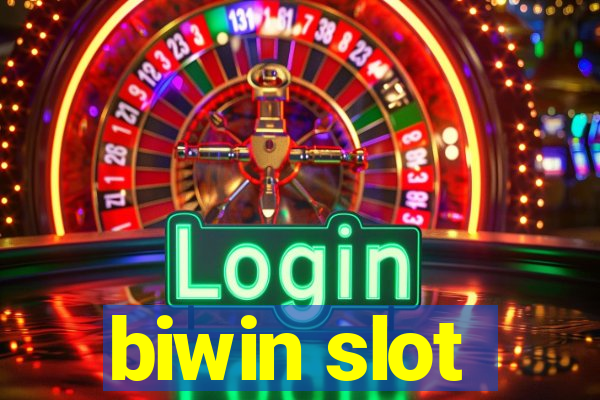 biwin slot