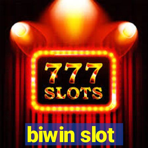 biwin slot