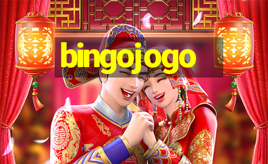 bingojogo