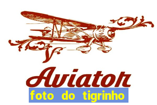 foto do tigrinho do jogo