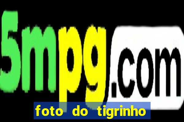 foto do tigrinho do jogo