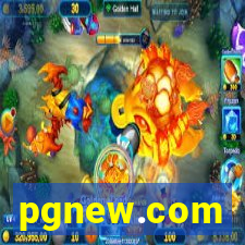 pgnew.com