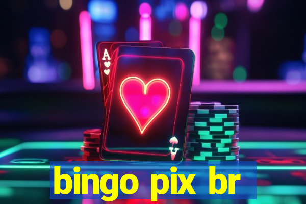 bingo pix br