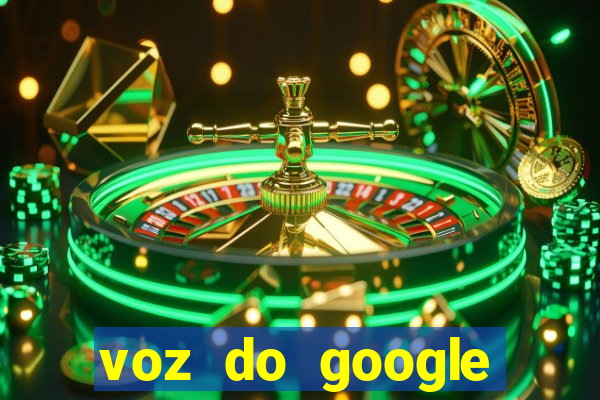 voz do google tradutor homem