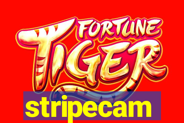 stripecam