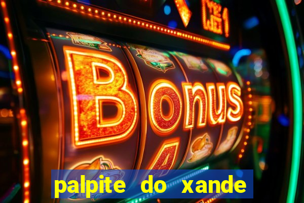 palpite do xande para hoje