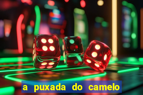 a puxada do camelo no jogo do bicho