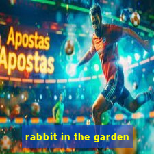 rabbit in the garden