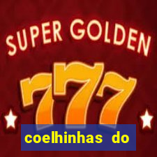 coelhinhas do brasil jp