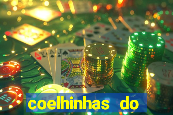 coelhinhas do brasil jp