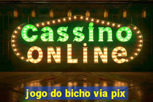 jogo do bicho via pix