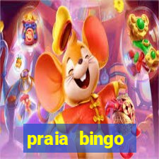 praia bingo dinheiro infinito 2022