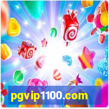 pgvip1100.com