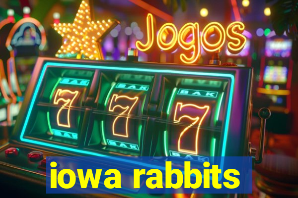 iowa rabbits