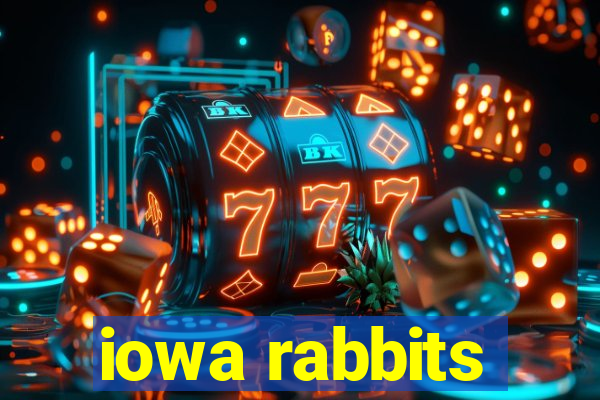 iowa rabbits