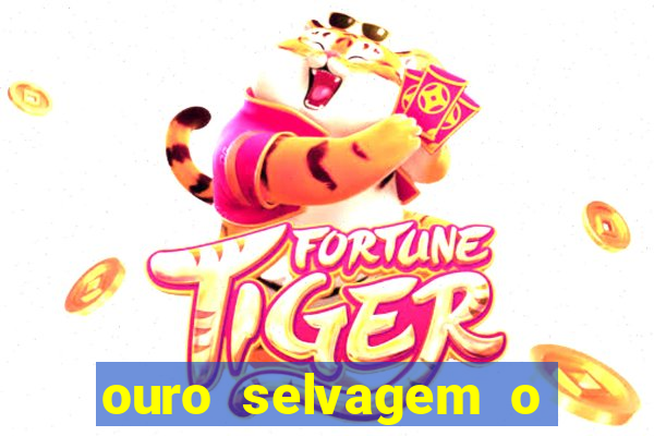 ouro selvagem o que aconteceu na vida