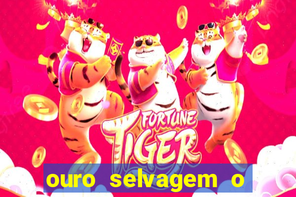 ouro selvagem o que aconteceu na vida