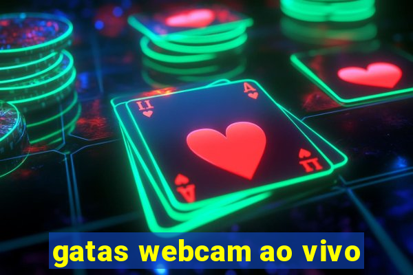 gatas webcam ao vivo