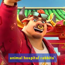 animal hospital rabbits