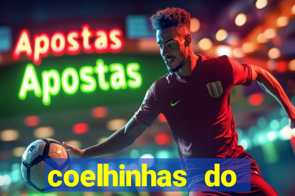 coelhinhas do brasil site