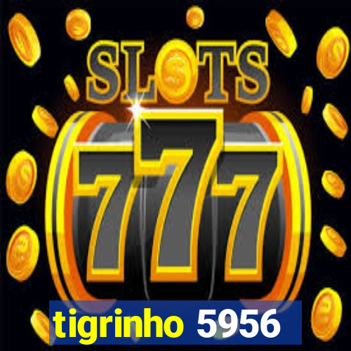 tigrinho 5956