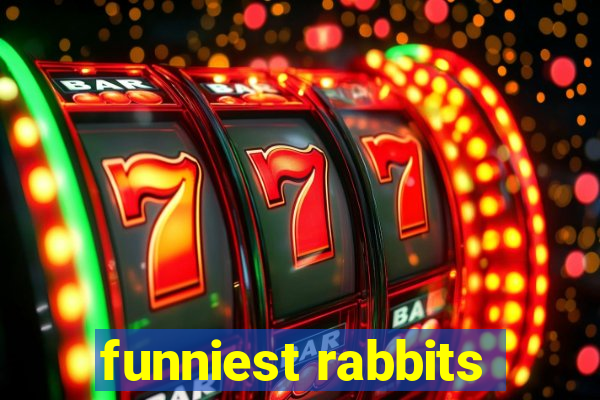 funniest rabbits