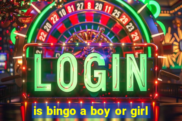 is bingo a boy or girl