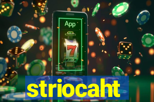 striocaht