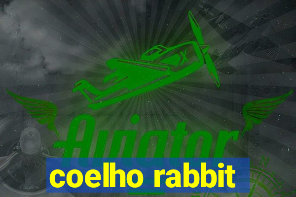 coelho rabbit