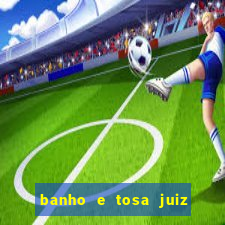 banho e tosa juiz de fora