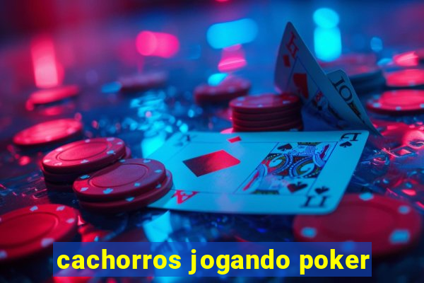 cachorros jogando poker