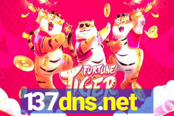 137dns.net