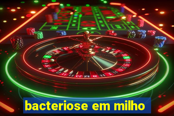 bacteriose em milho