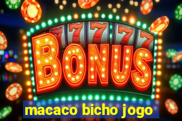 macaco bicho jogo