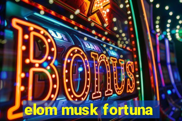 elom musk fortuna