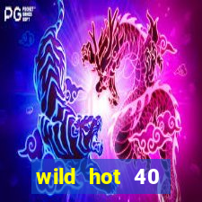 wild hot 40 christmas slot