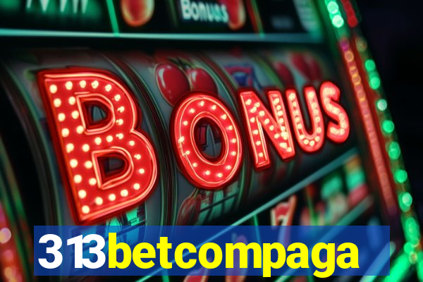 313betcompaga