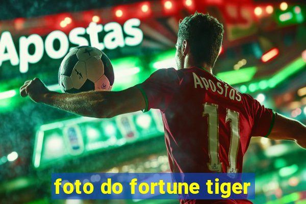 foto do fortune tiger