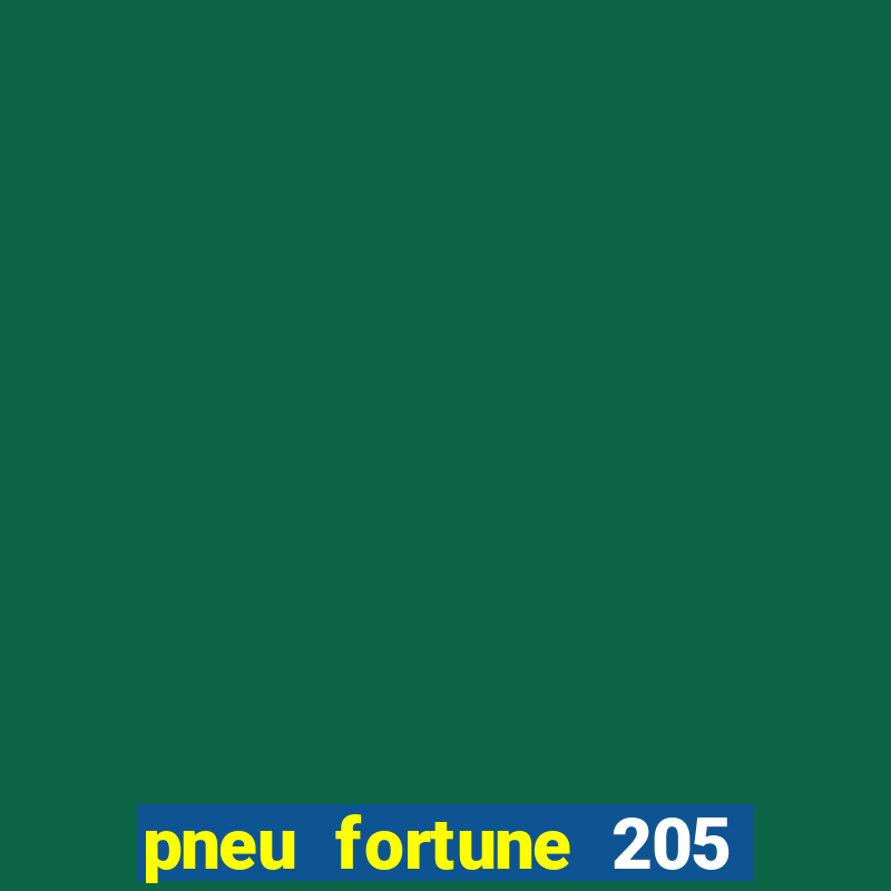 pneu fortune 205 55 r16