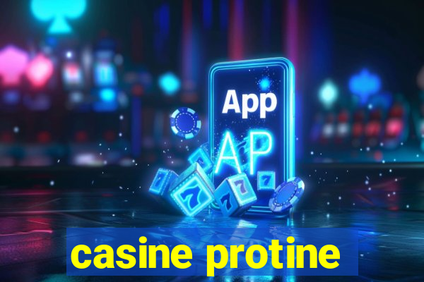 casine protine