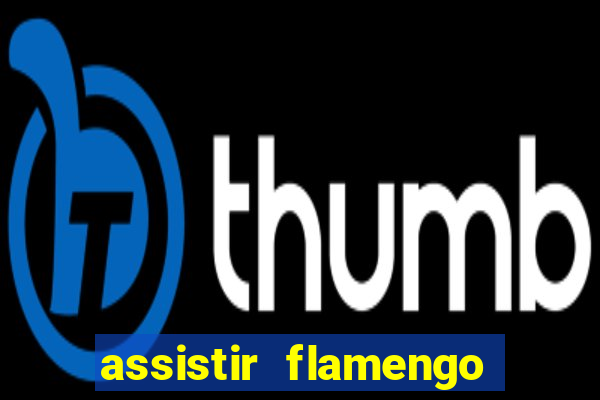 assistir flamengo futebol play hd