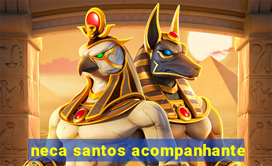 neca santos acompanhante