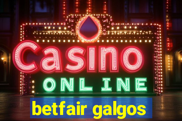 betfair galgos