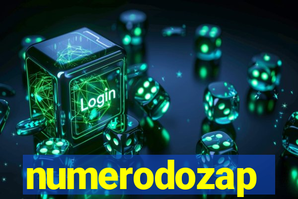 numerodozap